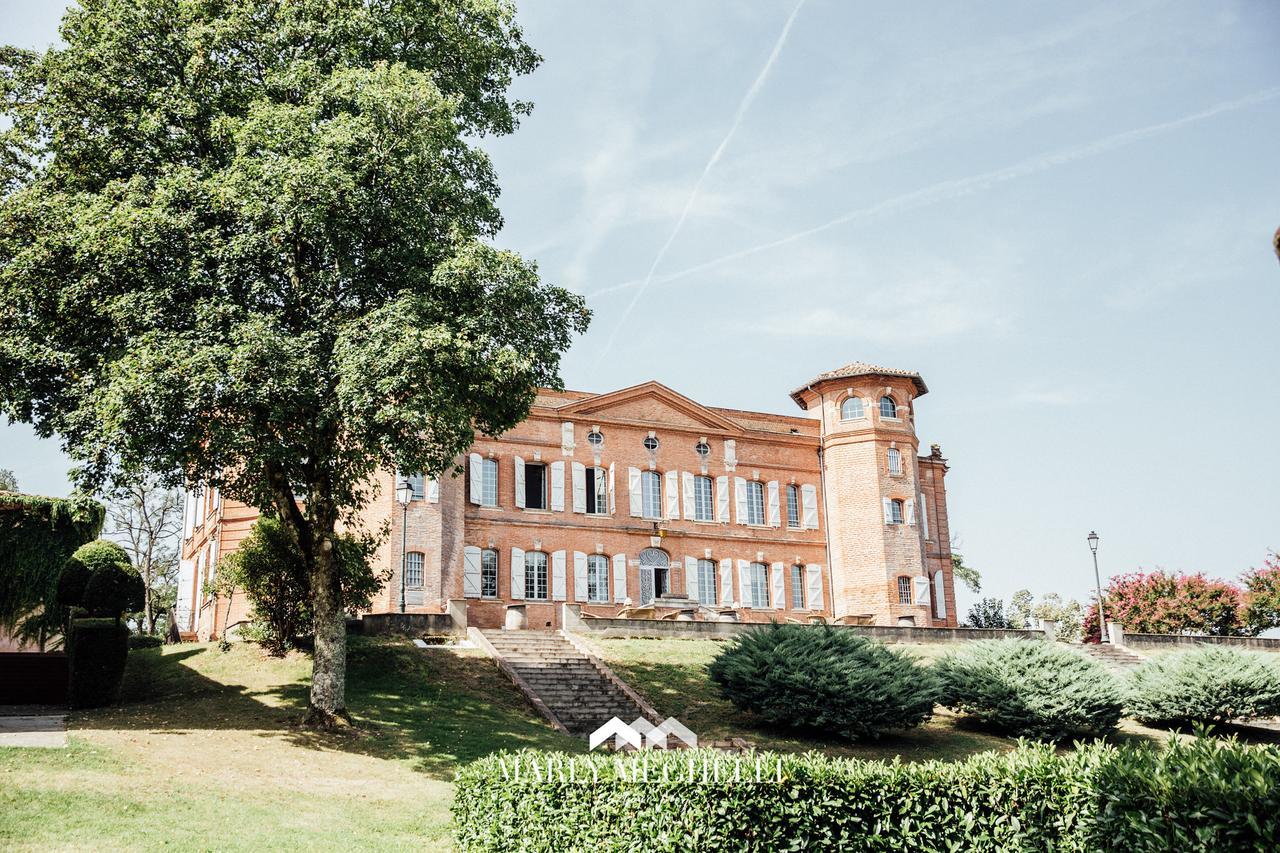 Chateau De Loubejac Montauban Exterior photo